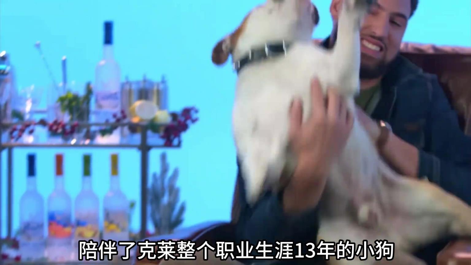 陪伴克萊13年的小狗去世了，不敢相信克萊得多么傷心